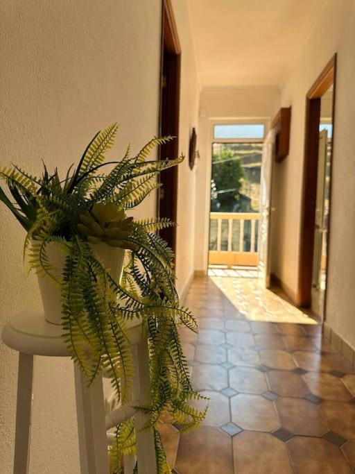 Casa De Sergude Peso da Régua المظهر الخارجي الصورة