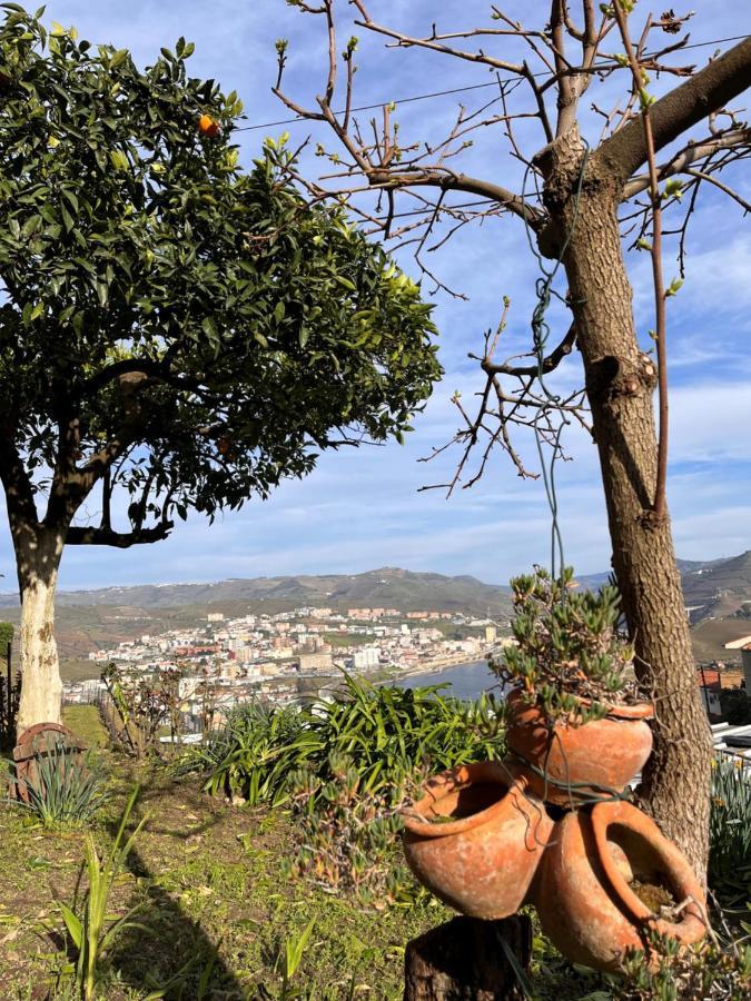 Casa De Sergude Peso da Régua المظهر الخارجي الصورة