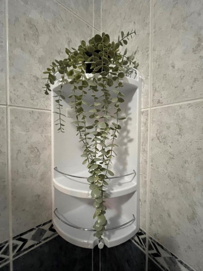 Casa De Sergude Peso da Régua المظهر الخارجي الصورة